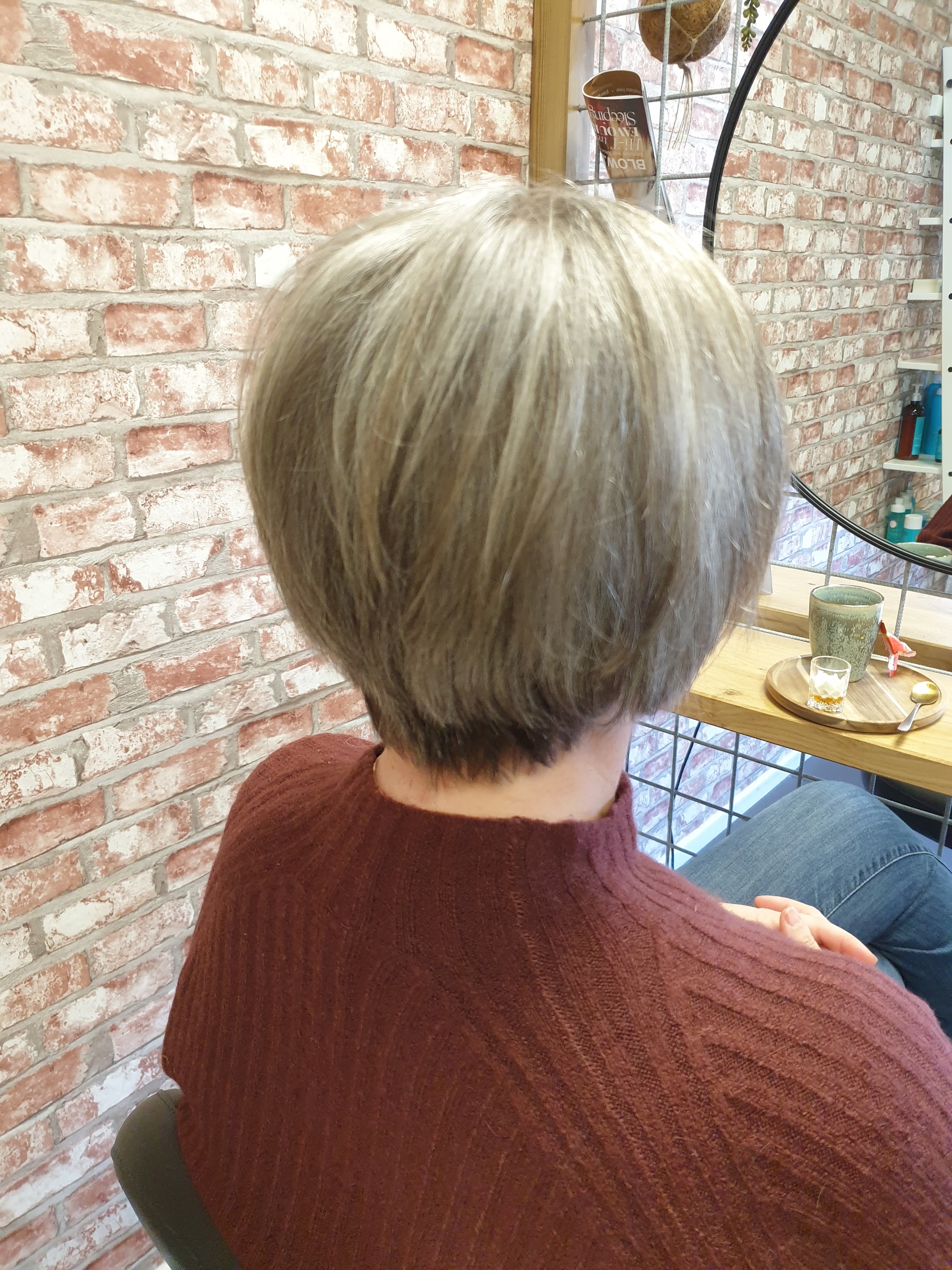 Korte asblonde bob van achteren gezien, in de salon